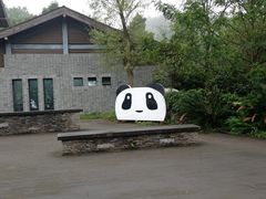 -都江堰中华大熊猫苑