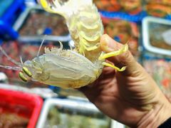 -霞涌市场海鲜摆卖区
