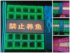 -Ton Ton吨吨小酒馆Live(观前街店)