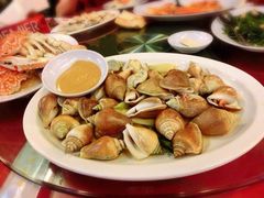 东风螺-大茄来海鲜餐厅(亚洲城分行)