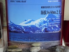 -北京西藏大厦酒店
