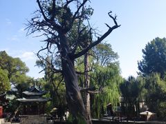 -晋祠公园