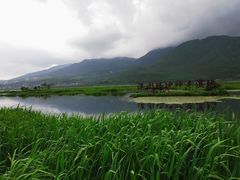 -腾冲北海湿地