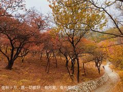 -北京西山国家森林公园