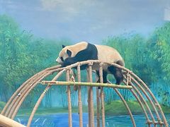 -杭州动物园