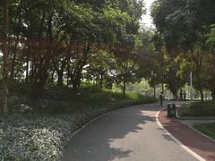 -文华公园(禅城区)
