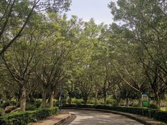 -滴水岩森林公园
