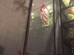 -赤火牛排(金狮广场店)