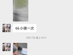 -睿金宠物医院·CT·肿瘤·骨外科