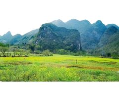 -靖西鹅泉风景区