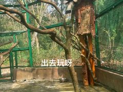 -海南热带野生动植物园