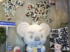 -了不起的考拉咖啡店(高新店)