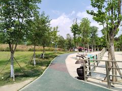 -黄龙溪欢乐田园