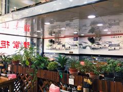 大堂-豫掌柜饸饹面·烩面(秀沿路店)
