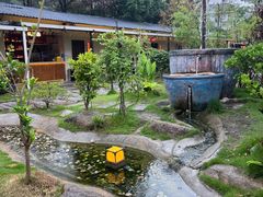 -湘力力小院·鱼汤泡饭(枫林路店)