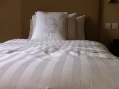 床单大洞-苏州吴宫泛太平洋酒店