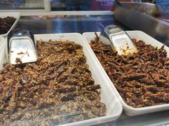 -鑫记婆婆兔·成都特产·兔头手撕兔(太古里店)