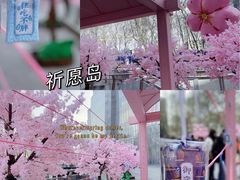 -金茂览秀城