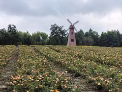 -同里国家湿地公园