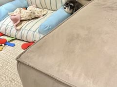 -百好乐宠物友好餐厅(朝外大街店)