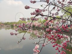 -无锡蠡湖国家湿地公园-蠡园