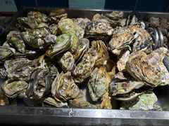 -禾斗海鲜自助(市南银座店)