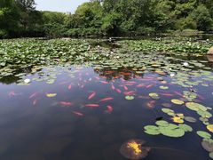 -白马涧龙池景区