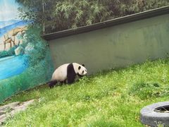 -上海野生动物园