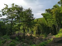 -山沟沟景区