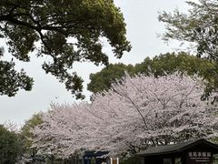 -上方山森林动物世界