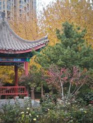 -宝馨月月子中心(友谊医院店)