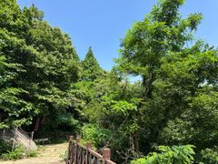 -连云港云龙涧原生态风景区