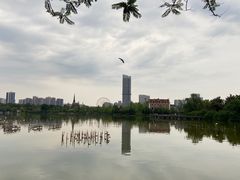 -成都南湖公园