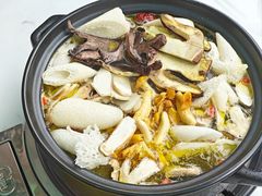 -蘑统田下·野生菌火锅