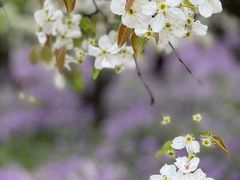 -江苏三台山国家森林公园