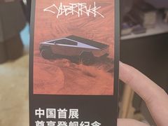 -TESLA 特斯拉(上海太古汇体验店)