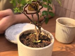 -CURRY YA 熟成咖哩專門店(深圳湾万象城店)