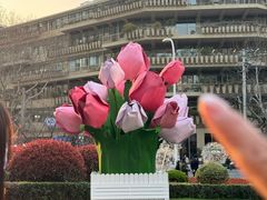 -中海环宇荟