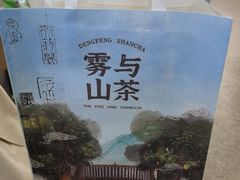 -雾与山茶(大禹城店)