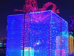 -飞凤山奥体公园
