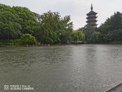 -红梅公园