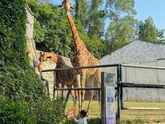 -泉州海丝野生动物世界