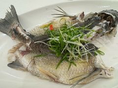 -寻味顺德·南记酒家·传统顺德菜·鱼生(广源路店)