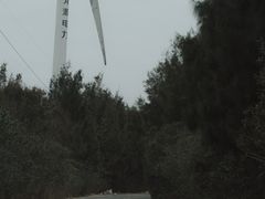-长江澳风力发电景观区