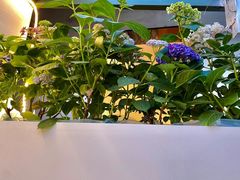 -稀物集咖啡(徽州大道店)