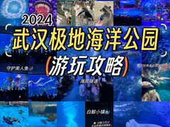 -海合安武汉极地海洋公园