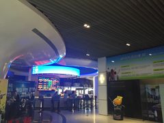 -奥斯卡升龙国际影城(RealD Cinema)