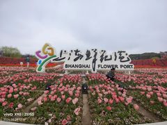 -上海鲜花港