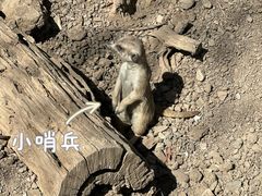 -天津市动物园