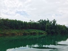 -广州市流溪河国家森林公园